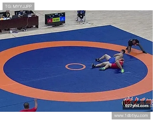 K1体育平台的优势与特色功能详解